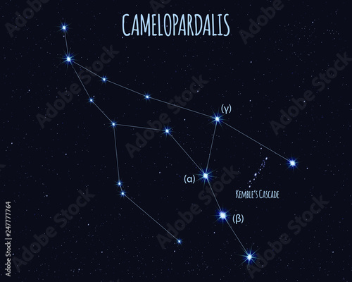 Camelopardalis (The Giraffe) constellation, vector illustration with the names of basic stars against the starry sky