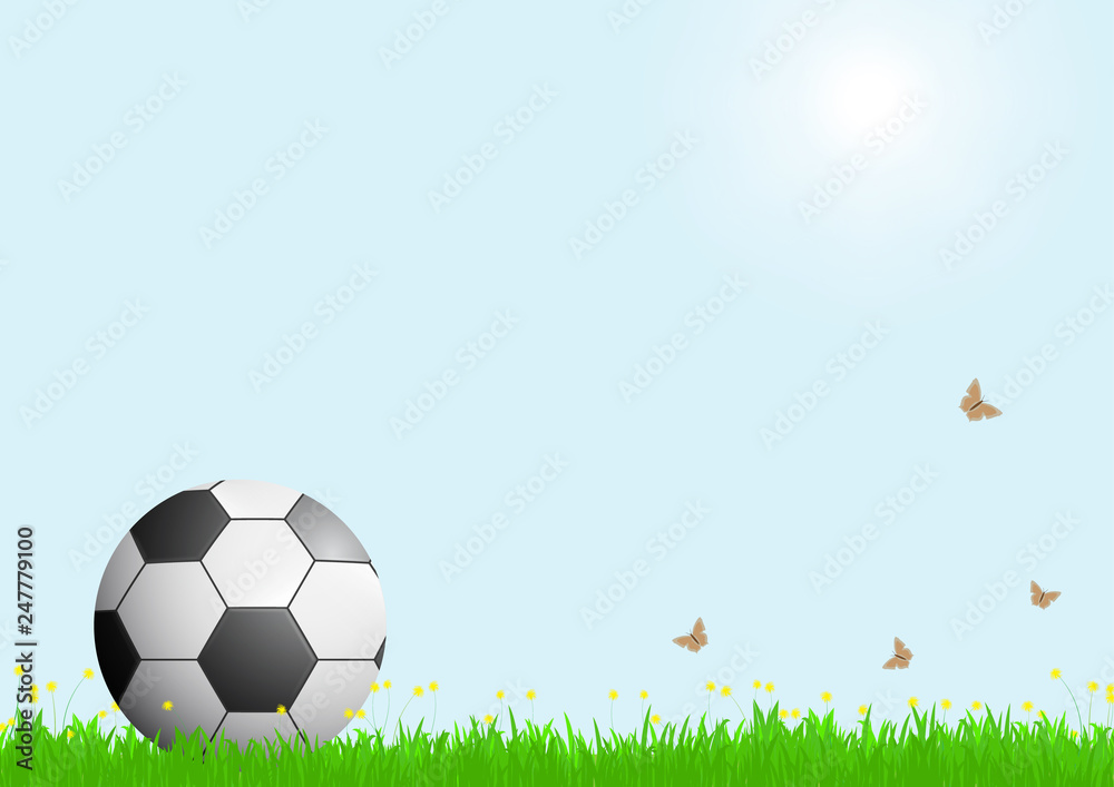 Fototapeta premium Realistic football on green grass with sunlight on blue sky background, vector illustration