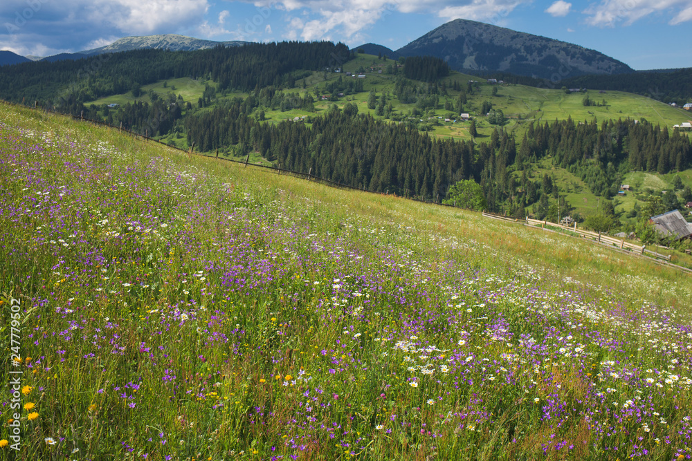 Beautiful countryside landscape. Green grass with colorful bright wild flowers growing in foreground, village and mountains in background. Horizontal color photography. Beautiful countryside landscape. Green grass with colorful bright wild flowers growing in foreground, village and mountains in background. Horizontal color photography.