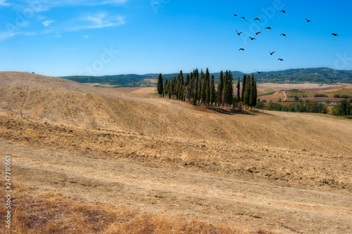 landscape of the Sienese-Tuscan countryside