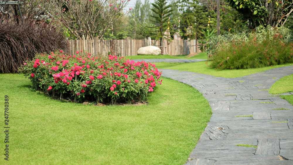 Green lawns and  artificial wood pathways in garden have flowers and trees growing