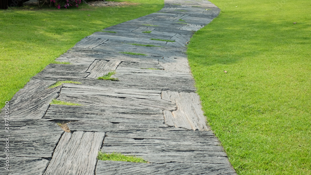 Green lawns and artificial wood pathways in garden have flowers and trees growing Green lawns and artificial wood pathways in garden have flowers and trees growing