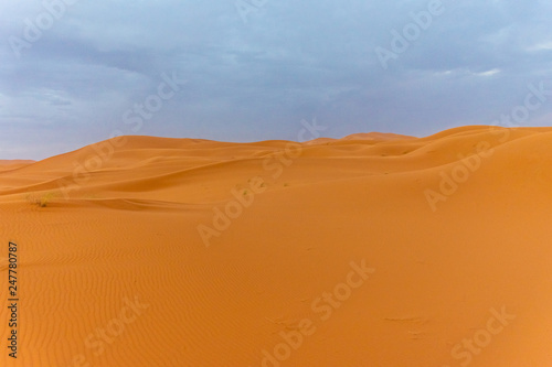 Beautiful landscape of the dunes of the Sahara Desert at dusk, Merzouga, morocco © Stefano Zaccaria