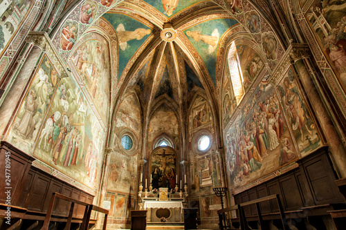 vault of frescoed church in tuscany.