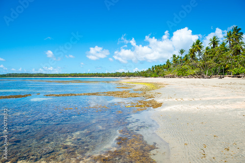 Bright scenic view of a remote Brazilian beach with an exposed coral reef under clear tropical waters in Bahia, Brazil