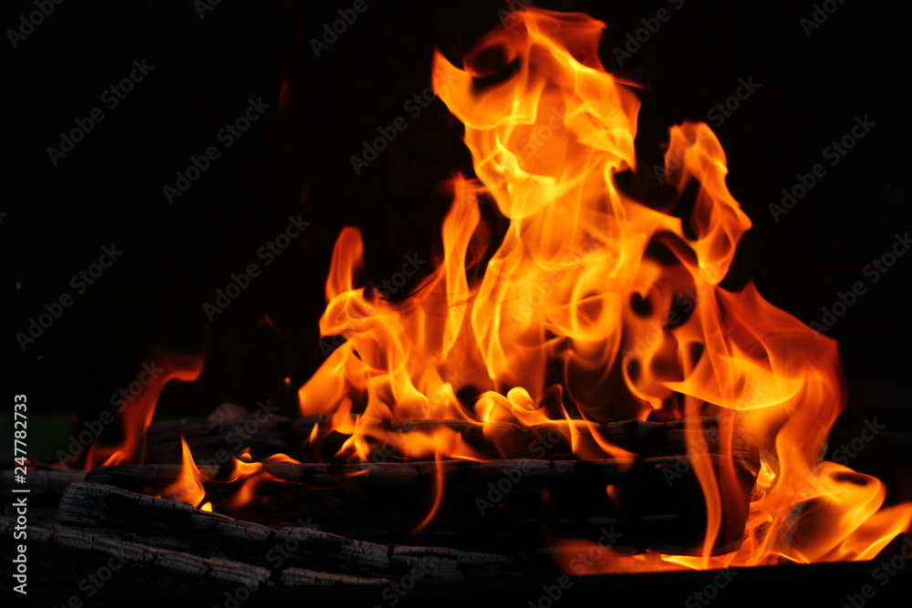 Fire flame on background. Camp fire at night. Stock Photo | Adobe Stock