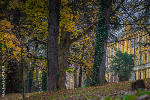 A villa in the park in fall surrounded by leafy leaves