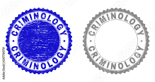 Grunge CRIMINOLOGY stamp seals isolated on a white background. Rosette seals with grunge texture in blue and gray colors. Vector rubber stamp imprint of CRIMINOLOGY caption inside round rosette.