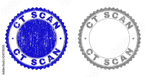 Grunge CT SCAN stamp seals isolated on a white background. Rosette seals with grunge texture in blue and gray colors. Vector rubber stamp imprint of CT SCAN text inside round rosette.