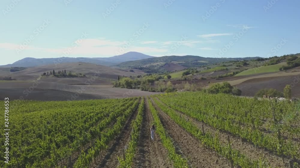 Aerial view to a girl walks through a vineyard in Tuscany Aerial view to a girl walks through a vineyard in Tuscany
