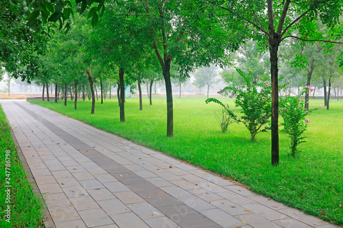 Stone path in the park