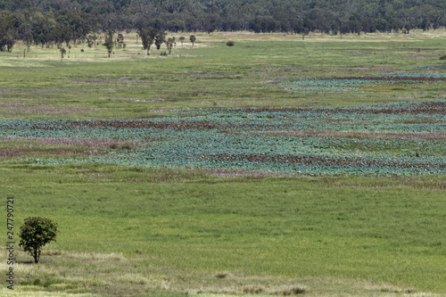 Park Narodowy Kakadu  Australia