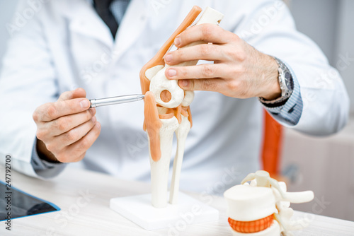 Close-up of the therapist showing knee joint model during the medical consultation photo