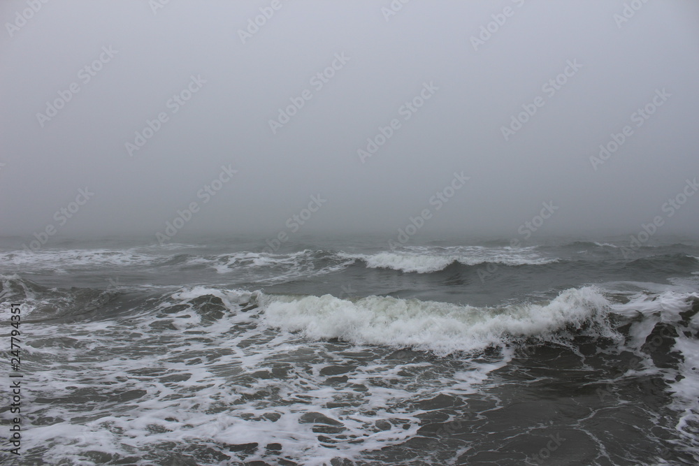 Fototapeta premium Sea storm in cold winter morning and fog