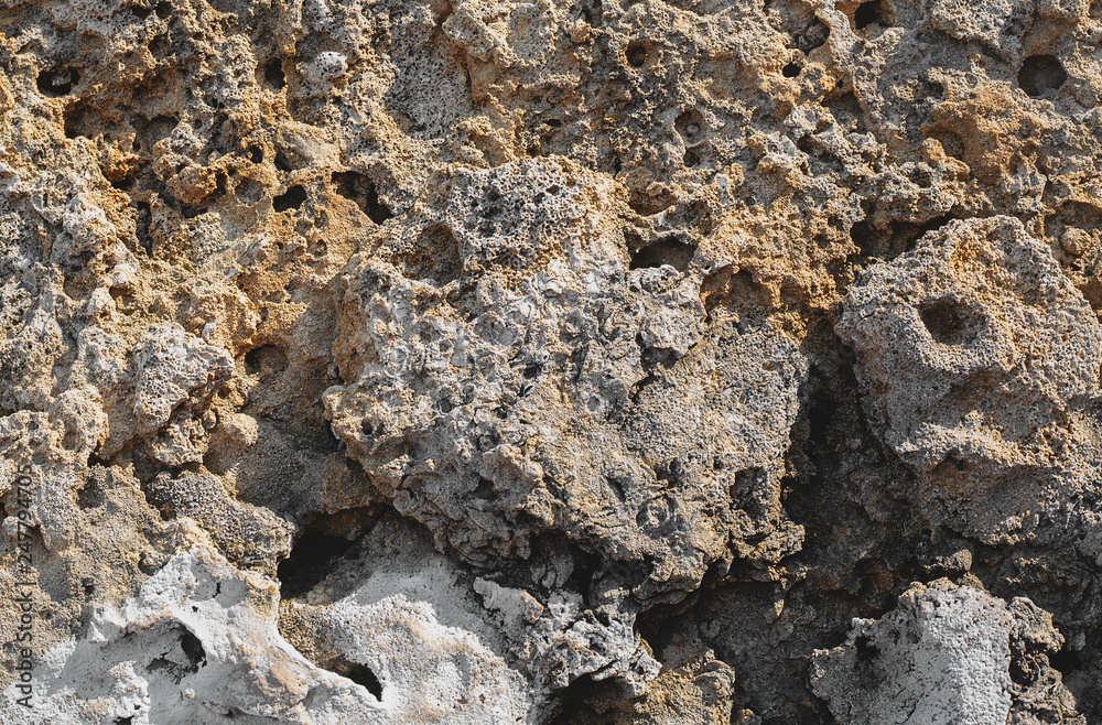 shell rock texture