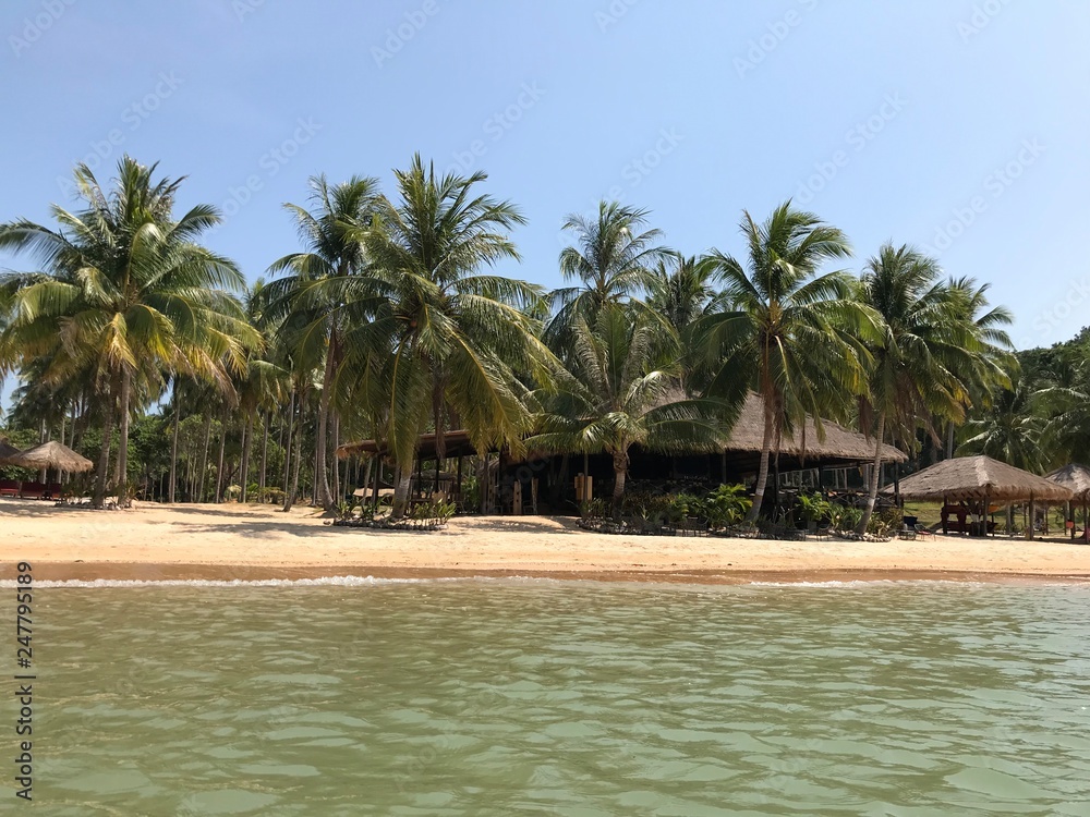 Palms on the coats. View from a sea to a well-maintained tropical beach: structures under thatched roof, well-groomed sandy beach, beautiful palm trees with leaves and coconuts. Sunny tropical resort