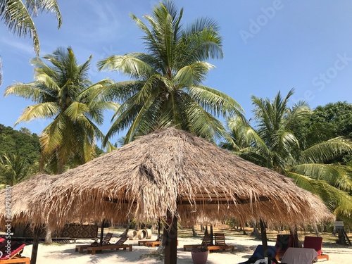 Thatched roof on the beach on a palms background. Tropical luxury beach on a paradise island: sunbeds and umbrellas, tall palm trees and blue sky. Top view.  © Oxana