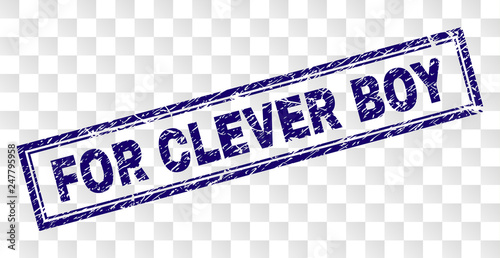 FOR CLEVER BOY stamp seal imprint with rubber print style and double framed rectangle shape. Stamp is placed on a transparent background.