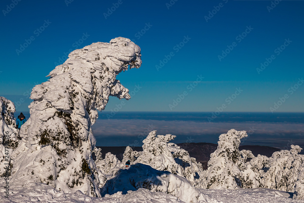 Baumskulpturen auf dem Brocken