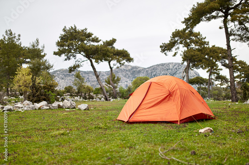 orange tent in the forest