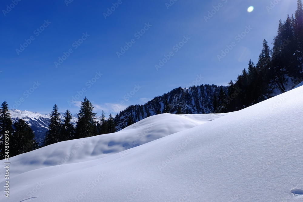 Obraz premium Snow Mountain India