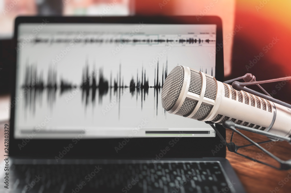 Professional microphone and sound waveform on screen Professional microphone and sound waveform on screen