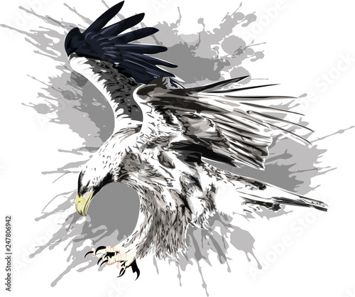 Flying eagle. Stylized vector illustration