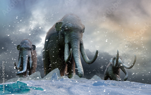 herd of mammoths in the wild render 3d