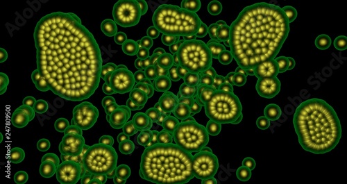 Microscopic life, virus, algae, cells, bacteria multiplying , reproducing growing, spreading. black background - 3d rendering