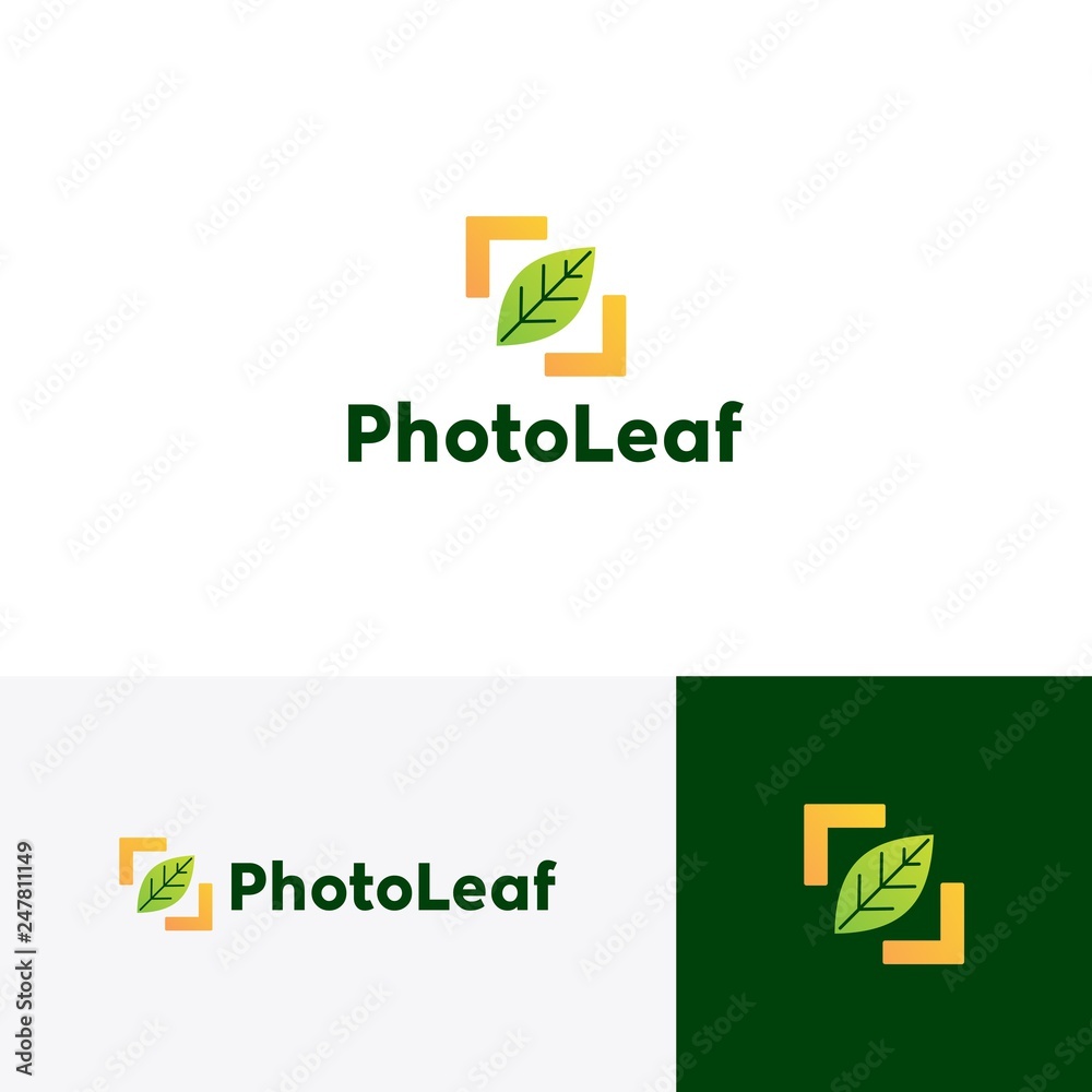 photo leaf logo vector icon illustration photo leaf logo vector icon illustration
