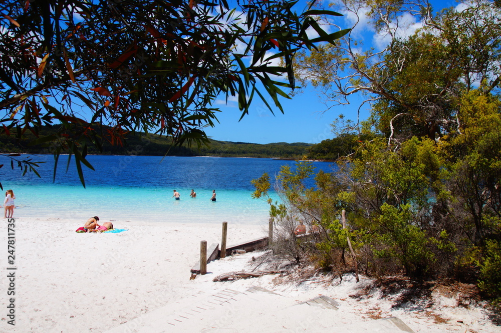 Lake Mc. Kenzie - Fraser Island - Australia Lake Mc. Kenzie - Fraser Island - Australia