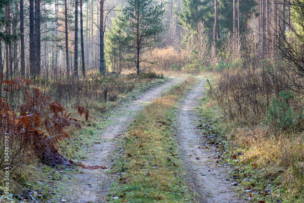 Fototapeta premium empty country gravel road with mud puddles and bumps