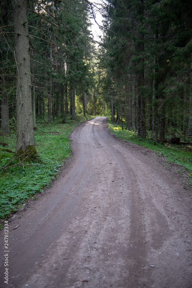 Naklejka premium empty country gravel road with mud puddles and bumps