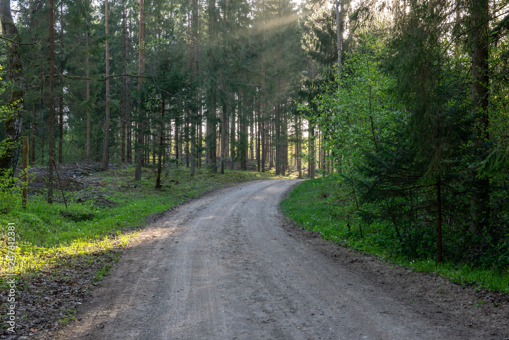 Naklejka premium empty country gravel road with mud puddles and bumps