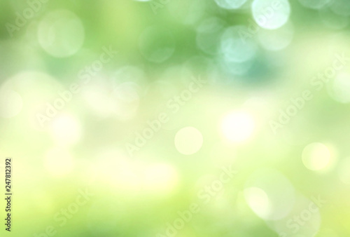 Green blurred background.Spring bokeh.