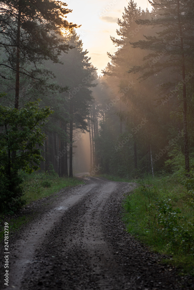empty country gravel road with mud puddles and bumps empty country gravel road with mud puddles and bumps