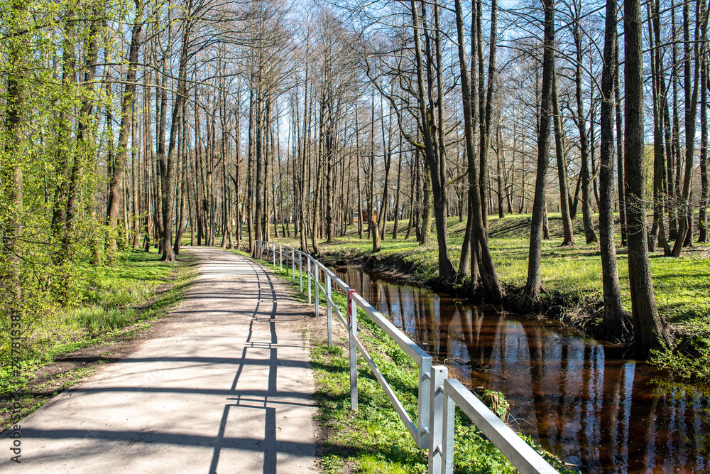 Obraz premium empty country gravel road with mud puddles and bumps