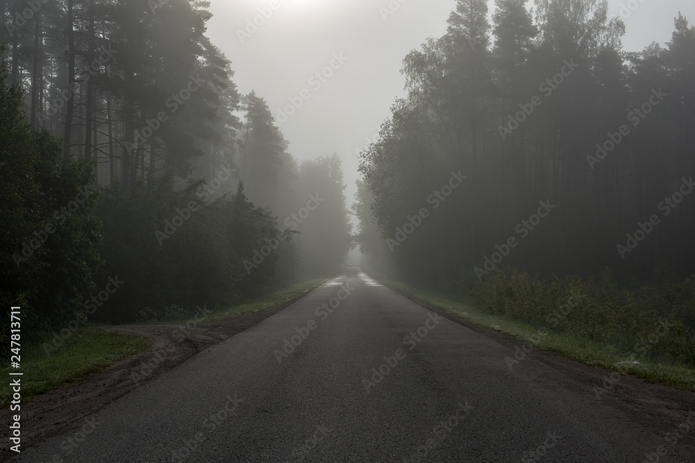 empty country gravel road with mud puddles and bumps empty country gravel road with mud puddles and bumps