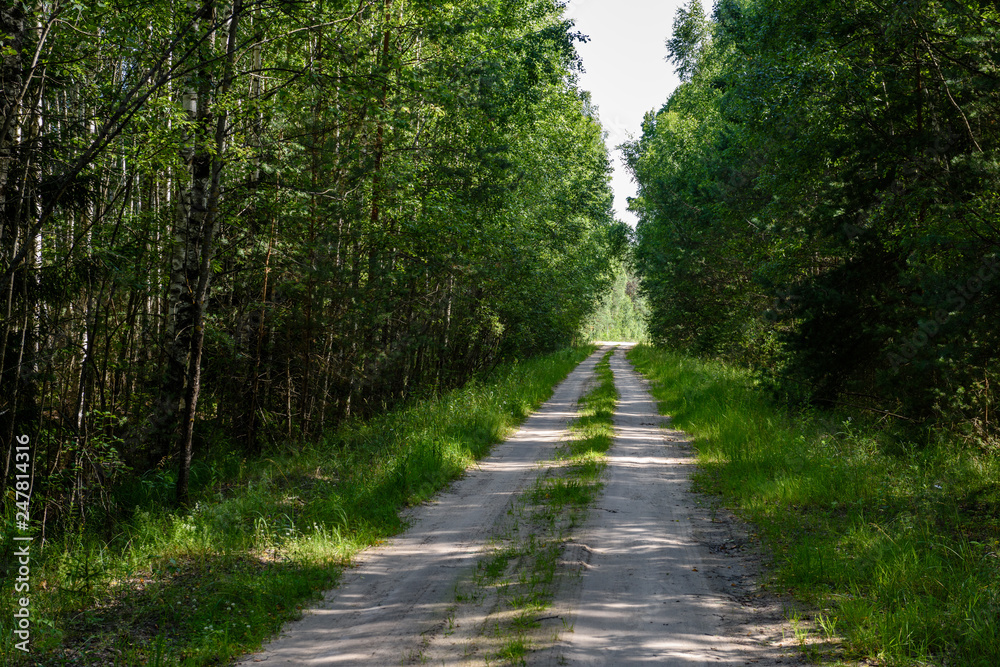 empty country gravel road with mud puddles and bumps