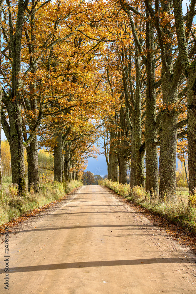 empty country gravel road with mud puddles and bumps