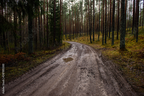 empty country gravel road with mud puddles and bumps © Martins Vanags