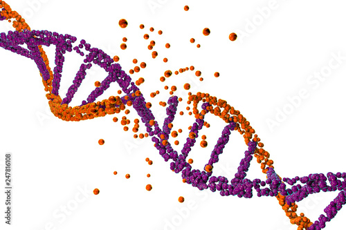 Destruction of DNA, damaged DNA, 3D illustration. Concept of disease, genetic disorder, genetic engineering