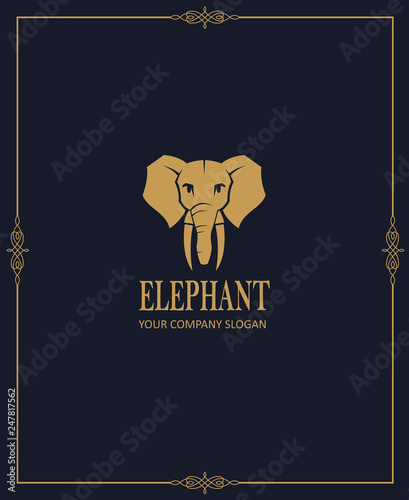 abstract elephant icon isolated on dark background