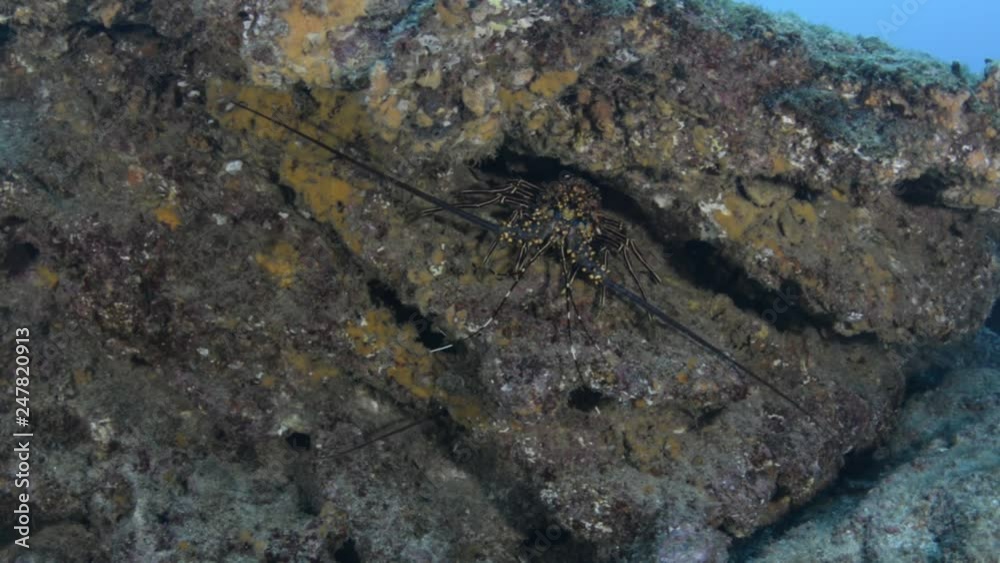 Shipwreck, reefs of Sea of Cortez, Pacific ocean. Isla Espiritu Santo, Baja California Sur, Mexico. Shipwreck, reefs of Sea of Cortez, Pacific ocean. Isla Espiritu Santo, Baja California Sur, Mexico.