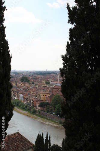 Upper view of Verona between tree