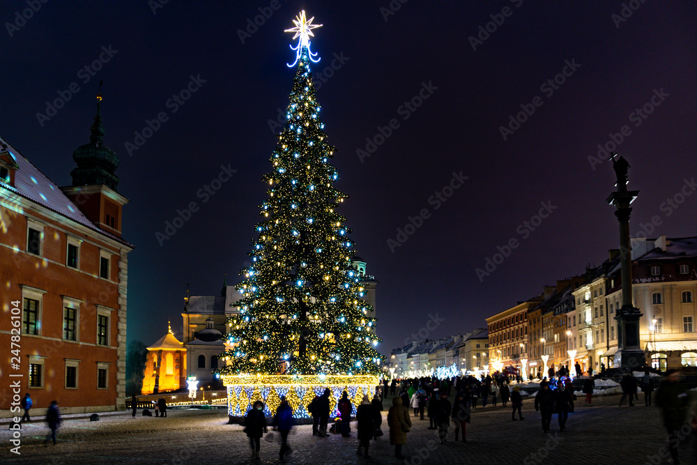 Warsaw Castle Square with Christmas tree after nightfall