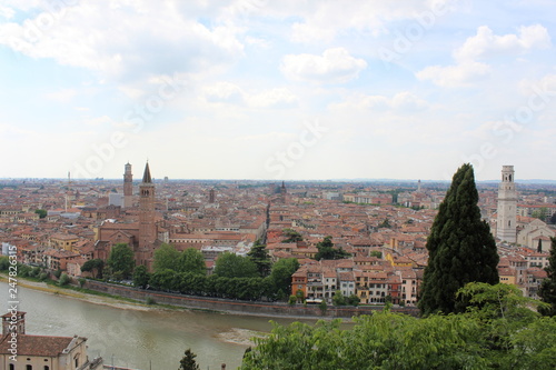 Upper view of Verona with tree