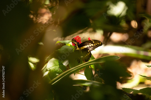 Fotografie Naturaleza