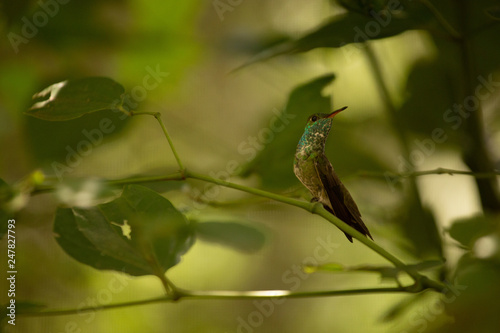 Fotografie Naturaleza