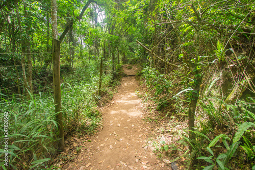 Brazilian Trail in Serra dos Orgaos Park. Petropolis - Rio de Janeiro - Brazil